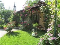 bd1debf7-Picture 441.jpg